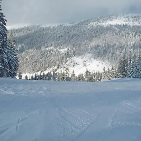 Feldbergblick App 21 Apartamento Lenzkirch